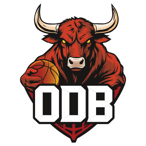 Logo Olemps Druelle Basket